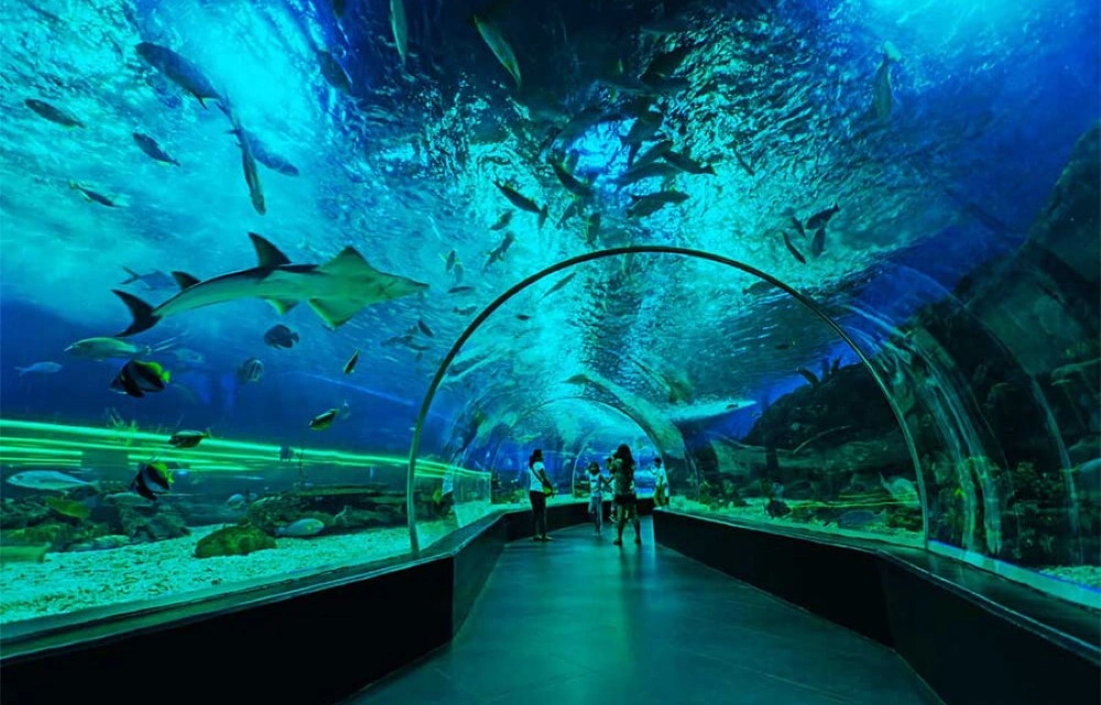 Attractions Image